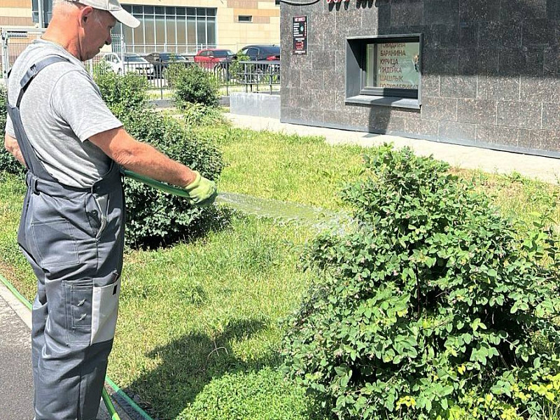 Работы по благоустройству территорий!